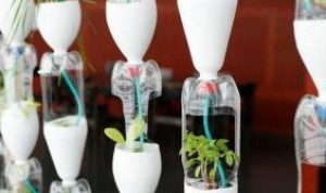 pot tanaman dari botol plastik
