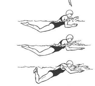 4 Teknik Berlatih Cara Berenang Gaya Katak yang Benar 2