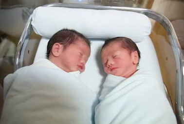 bayi kembar tidak identik