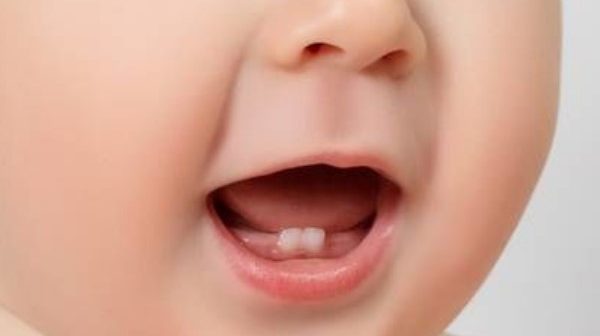 gigi bayi akan tumbuh