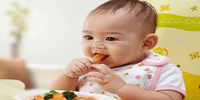 Rekomendasi 13 Makanan Untuk Bayi 1 Tahun  yang Sehat Aman