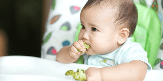 Makanan Untuk Bayi 1 Tahun
