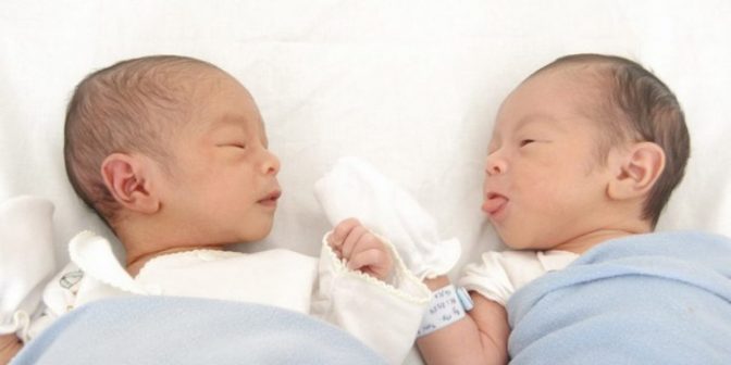 Program bayi kembar