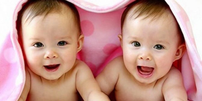 beberapa program bayi kembar