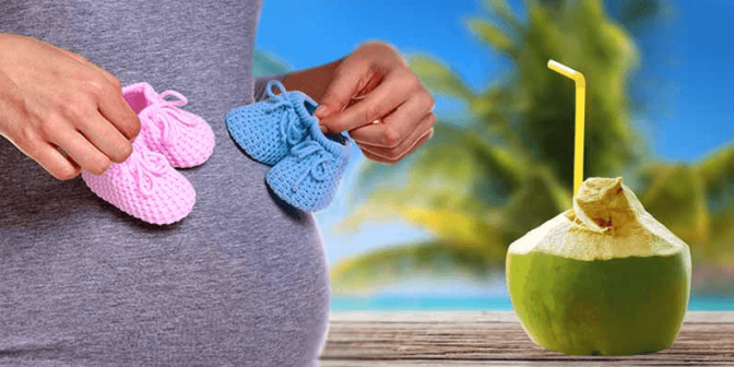 air kelapa untuk ibu hamil Sumber lifealth.com