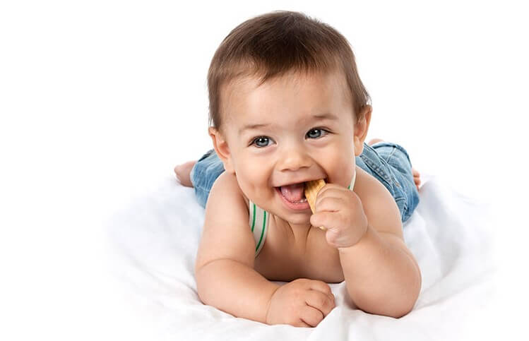 biskuit bayi promina Sumber lunajournal.biz'