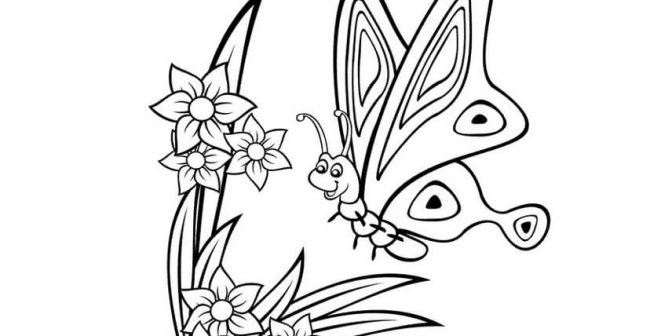 sketsa gambar kupu kupu hinggap di bunga -pinterest.com