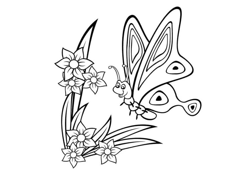 sketsa gambar kupu kupu hinggap di bunga