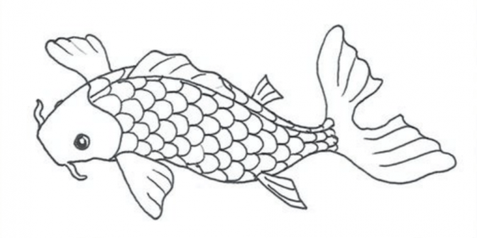 Sketsa Gambar Ikan Koi
