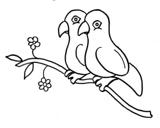 sketsa gambar burung lovebird