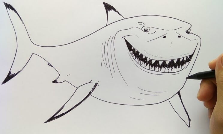 sketsa gambar ikan paus 