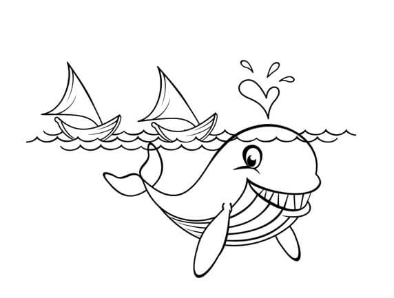 sketsa gambar ikan paus
