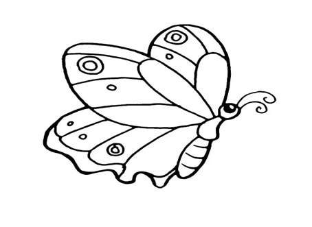 Download Sketsa Gambar Kupu kupu Terbang & Cara Mewarnainya