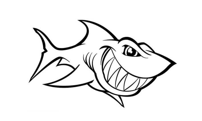 Download Sketsa Gambar Ikan Hiu & Cara Membuatnya 3