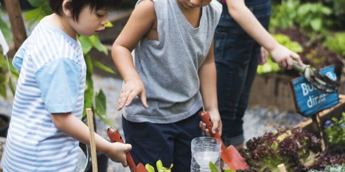 Mengajari Anak Berkebun 