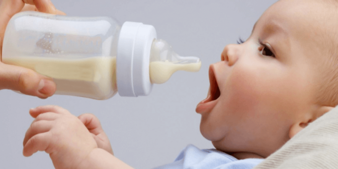 susu kambing untuk bayi