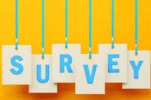 Aplikasi Survey Online 1