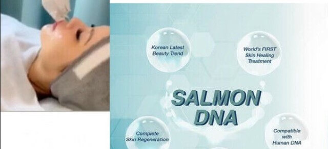 suntik DNA Salmon