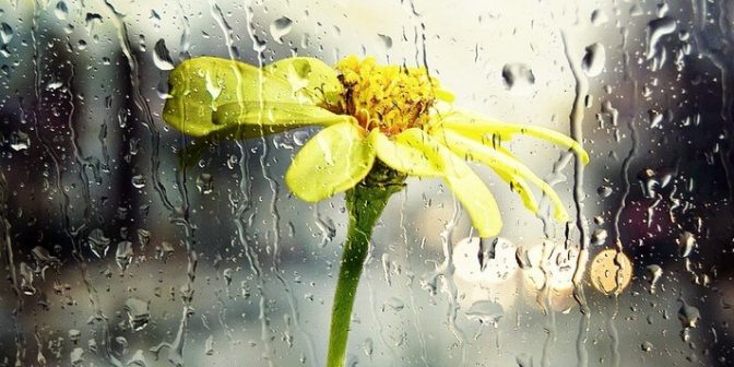 5 Doa Saat Turun Hujan Beserta Artinya dan Amalan-amalan Penting Lainnya 3