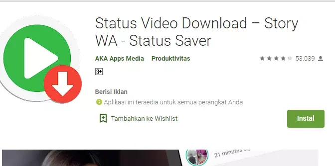 download video story WA