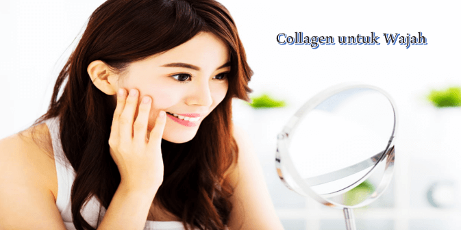 Collagen untuk Wajah