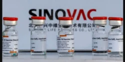 Efek samping vaksin sinovac