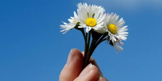 foto profil sederhana memegang bunga