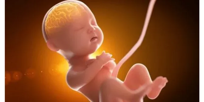 Vitamin ibu hamil untuk kecerdasan otak bayi 