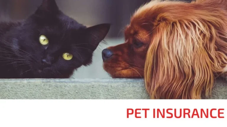 Asuransi hewan peliharaan