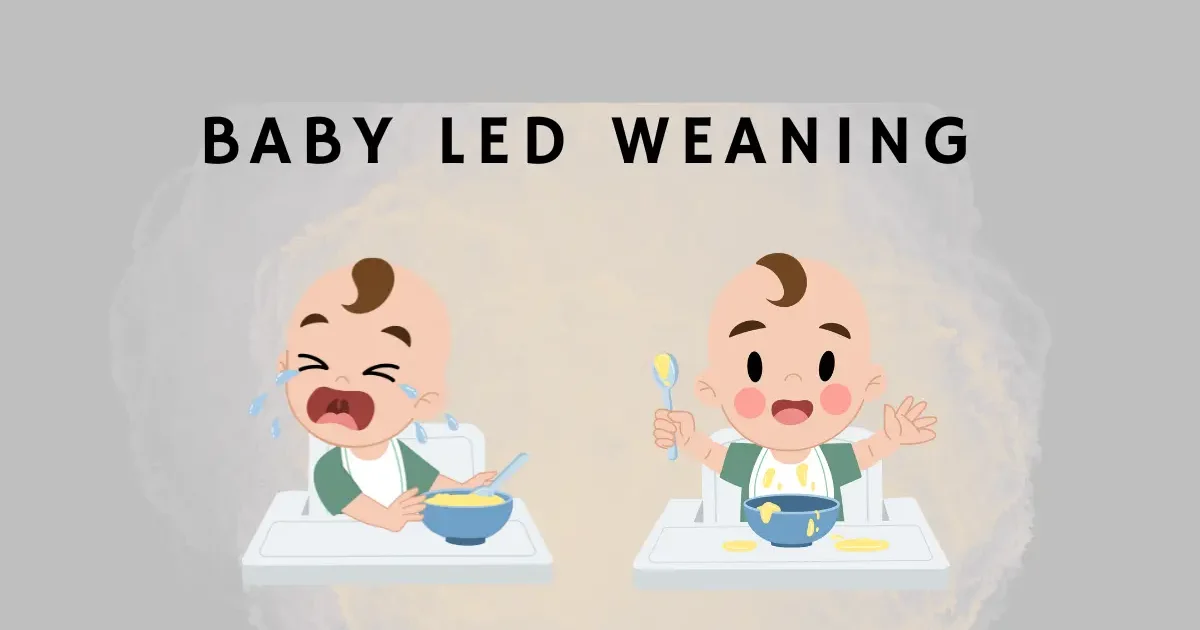 Baby led weaning adalah
