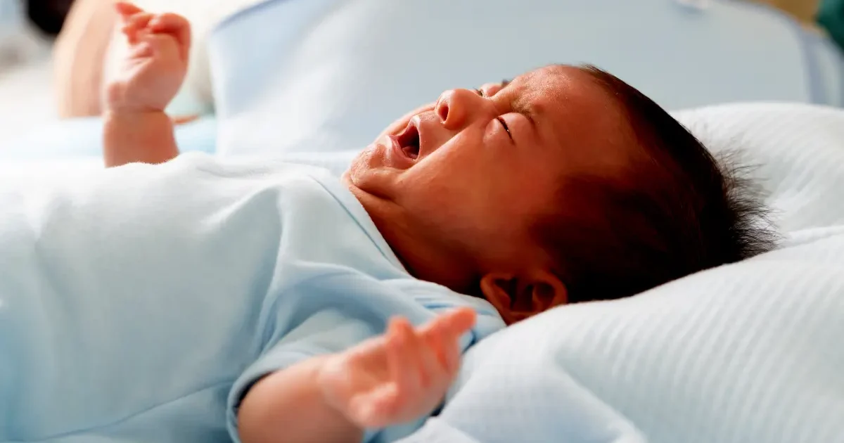 Susu LLM untuk Bayi Baru Lahir