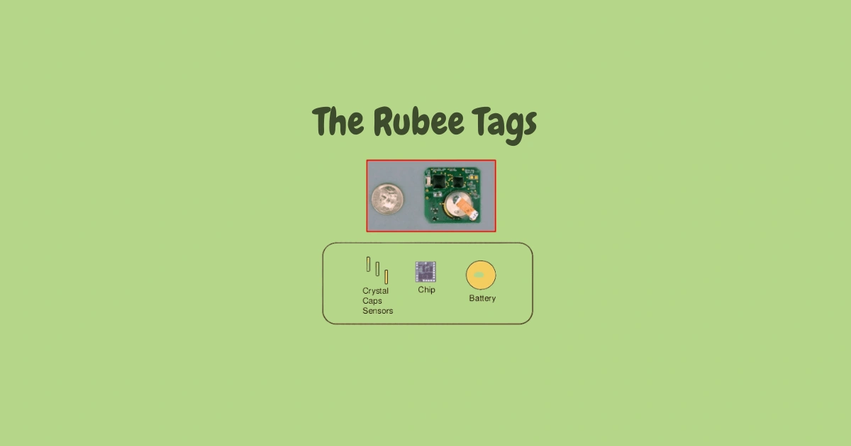 What is Rubee? Learn Its Operation, and Benefits in Use