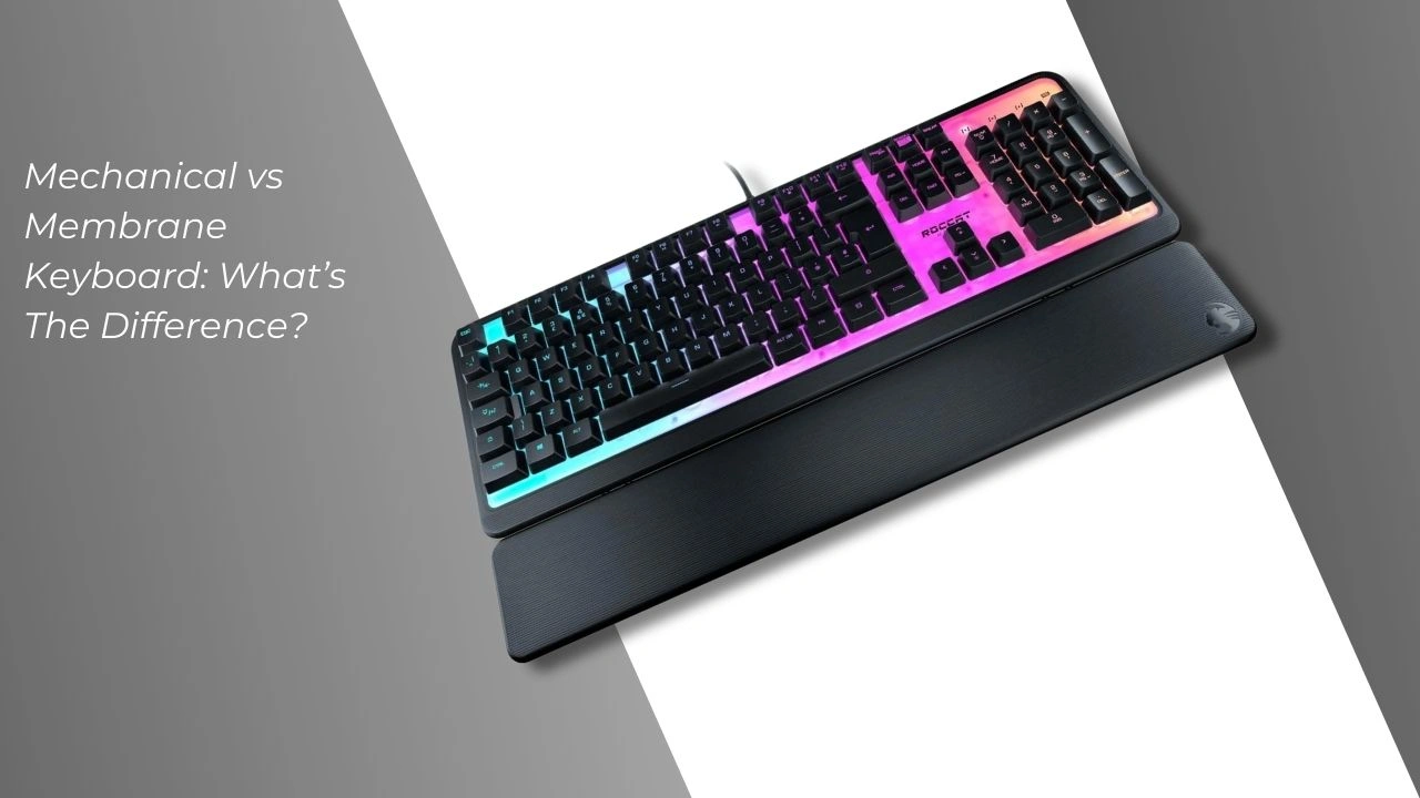 the Mechanical vs Membrane Keyboard
