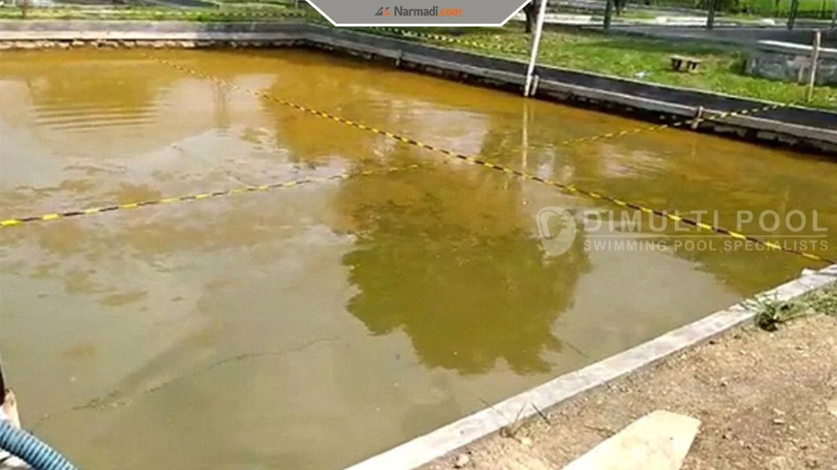 survey the pond that is about to be turned into a swimming pool