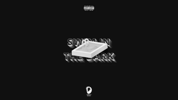 Swim in the Dark by Tovan as Dimulti Music's First Release