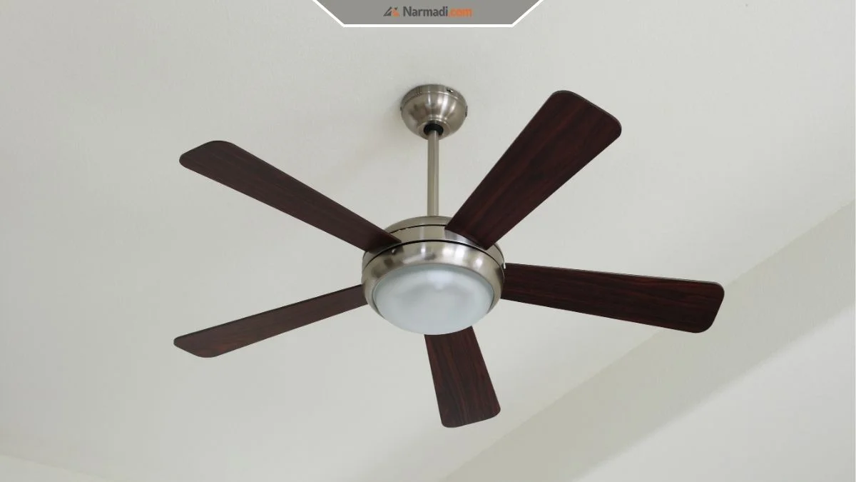 Everything You Need to Know About Smart Fans