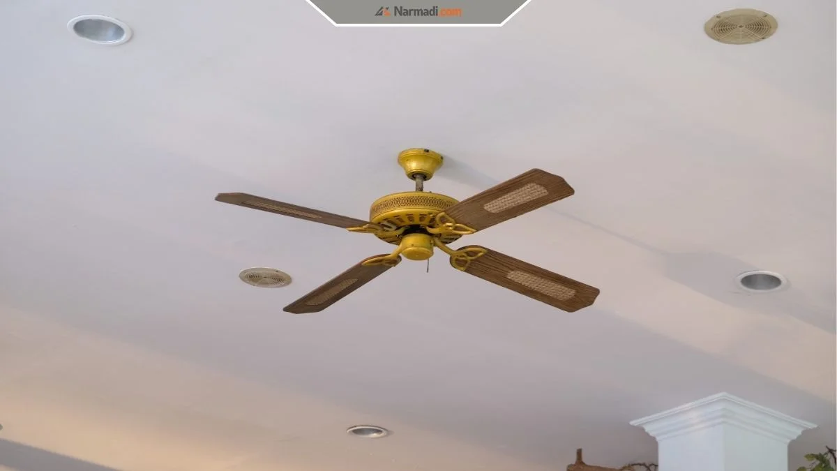 Take a Look at Our Smart Fans Buying Guide!
