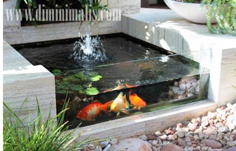  kolam ikan minimalis di dalam rumah,kolam ikan minimalis depan rumah, kolam ikan minimalis depan rumah kolam ikan minimalis di lahan sempit, cara membuat kolam ikan minimalis