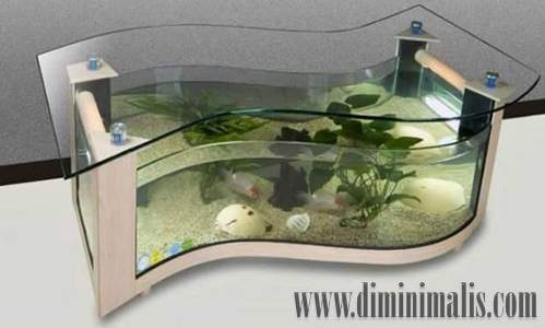 manfaat akuarium , manfaat akuarium dalam kamar, manfaat akuarium di dalam rumah