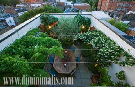 cara membuat roof top, cara membuat roof top garden, cara membuat taman di atas atap, Taman Atap Rumah, Taman Atap Rumah minimalis, taman atap rof garden