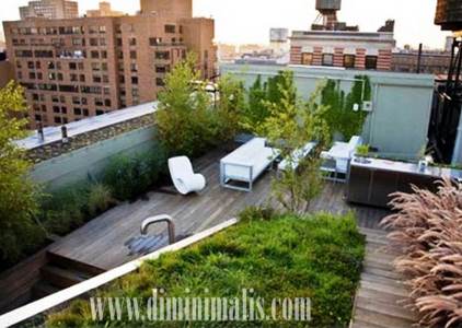 Taman Atap Rumah, Taman Atap Rumah minimalis, taman atap rof garden