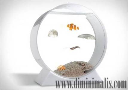 aquarium minimalis