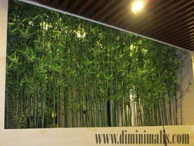 jenis bambu hias, jenis bambu hias untuk pagar, bambu hias mini