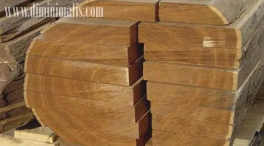 jenis kayu jati untuk konstruksi rumah