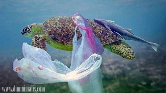 Menghemat Penggunaan Plastik, cara menghemat kertas dan plastik, dampak buruk kantong plastik