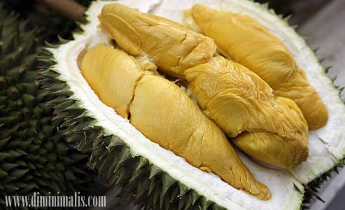  cara menanam durian musang king, keunggulan durian musang king, durian musang king malaysia