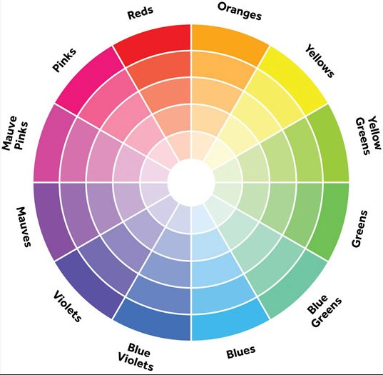 menggunakan linkaran warna untuk memilih warna cat rumah