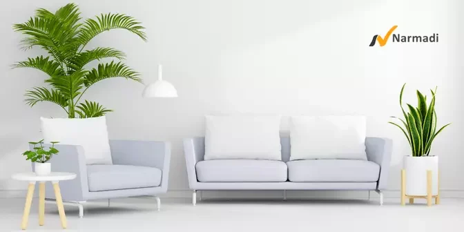 sofa untuk dekorasi ruang tamu