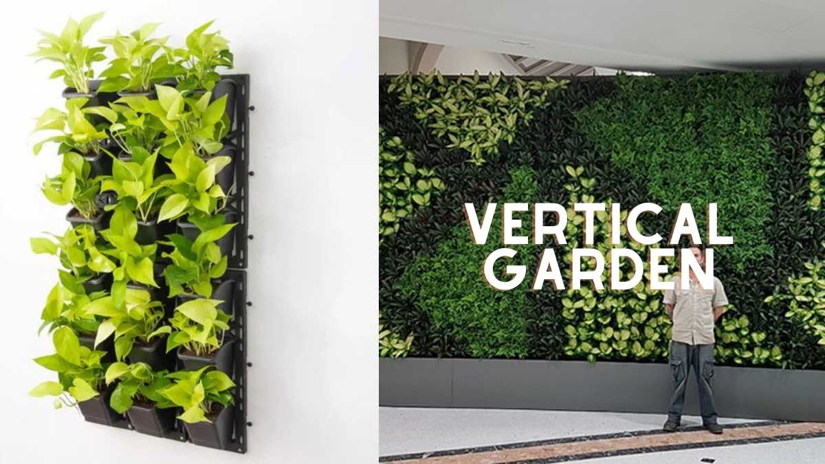 tanaman vertical garden