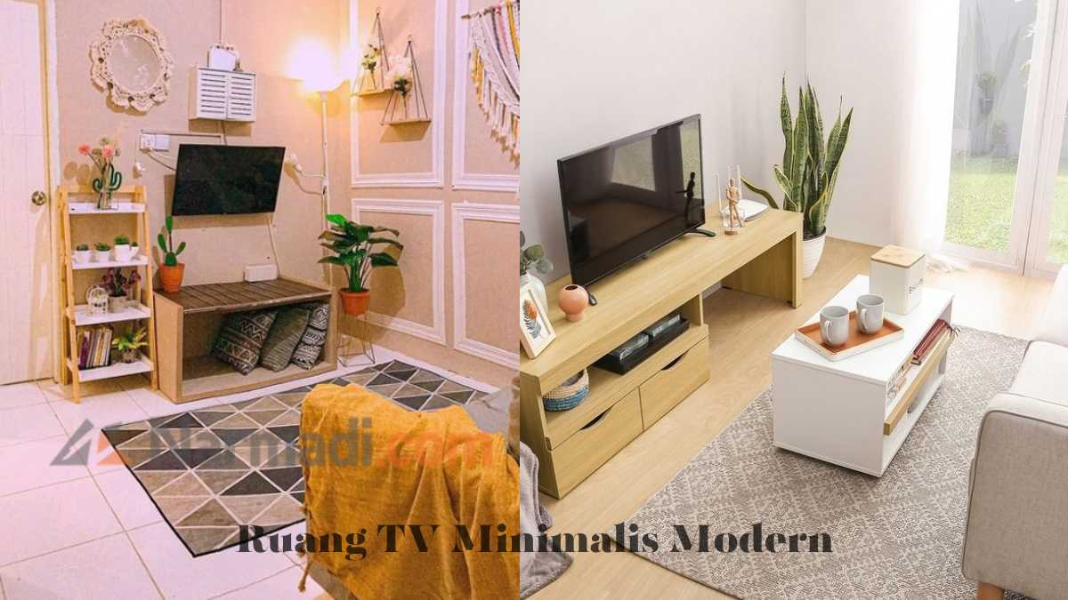 Desain Ruang TV Minimalis Modern